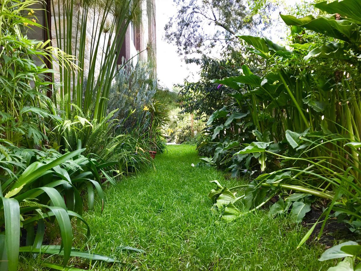 Ilalo Garden Hotel & Restaurant Quito Eksteriør bilde